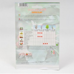 Coffee Plant Seeds 2