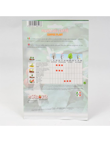 Vendita Semi del Caffè-Semi Particolari|Mondo Piante