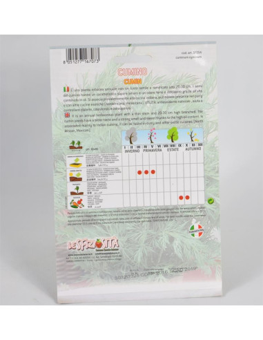 Cumin Seeds for Sale-Seeds Online | Mondo Piante