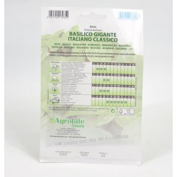 Classic Giant Basil Seeds 2