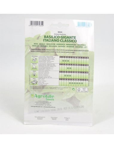 Vendita Semi Basilico Classico-Semi Piante Aromatiche|Mondo Piante