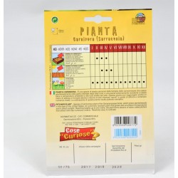 Semi Pianta Carnivora... 2