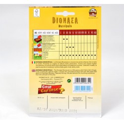 Semi Pianta Carnivora Dionea 2