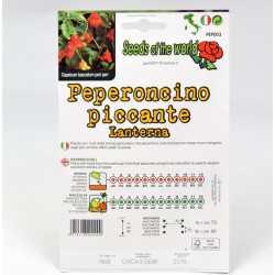Semi Peperoncino Lanterna 2
