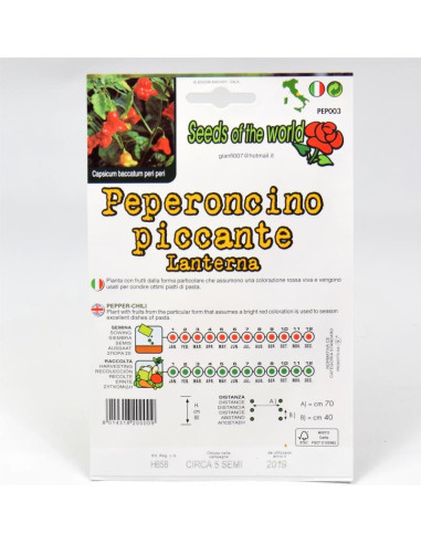 Vendita Semi di Peperoncino Lanterna-Semi Particolari|Mondo Piante