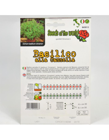 Vendita Semi di Basilico Cannella-Semi Piante Aromatiche|Mondo Piante