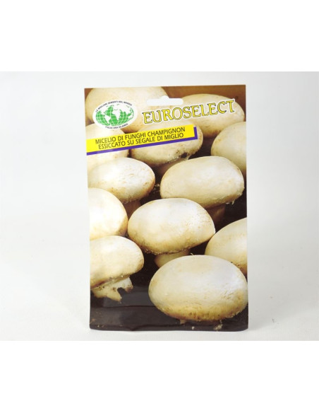 Champignon Mushrooms Seeds for Sale-Seeds Online | Mondo Piante