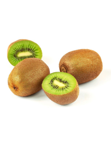 Pianta di Kiwi Femmina | Mondo Piante