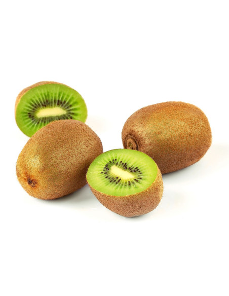 Pianta di Kiwi Femmina | Mondo Piante