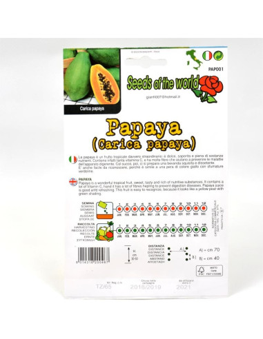 Papaya Seeds for Sale-Seeds Online | Mondo Piante