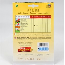 Canary Palm Seeds 2