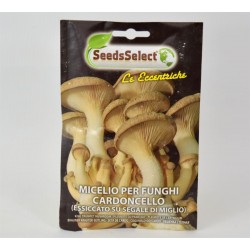Cardoncelli Mushrooms Seeds