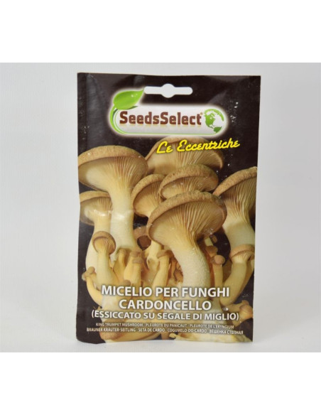 Vendita Semi di Funghi Cardoncelli-Semi Particolari |Mondo Piante
