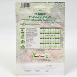 Small Wild Strawberries Seeds 2