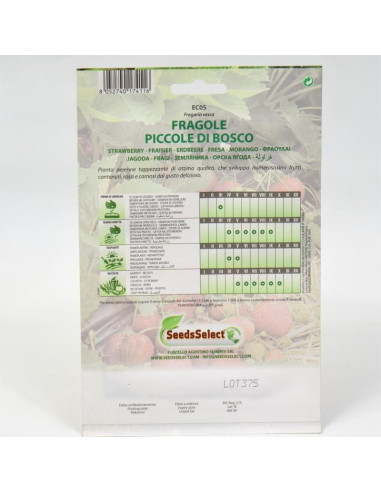 Vendita Semi di Fragole Piccole Di Bosco-Semi Particolari|Mondo Piante
