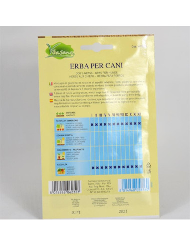 Dog Grass Seeds for Sale-Seeds Online | Mondo Piante
