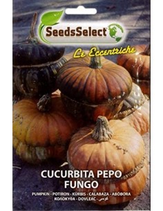 Semi Cucurbita Pepo Fungo