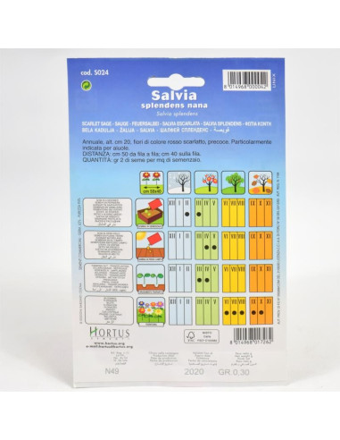 Vendita Semi di Salvia Rossa-Semi Particolari OnLine|Mondo Piante