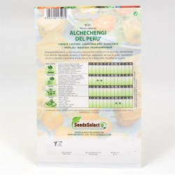 Alchechengi Seeds 2