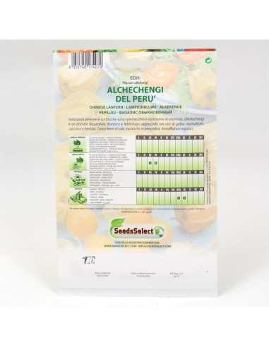 Vendita Semi di Alchechengi-Semi Particolari OnLine|Mondo Piante
