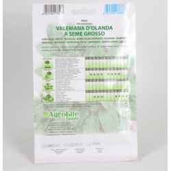 Semi Valeriana 2