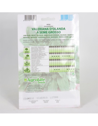 Vendita Semi di Valeriana-Semi Piante Aromatiche OnLine|Mondo Piante