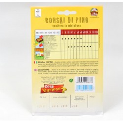 Pine Bonsai Seeds 2