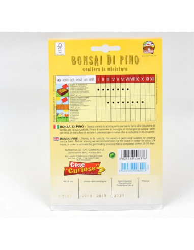 Vendita Semi di Bonsai Pino-Semi Particolari OnLine|Mondo Piante