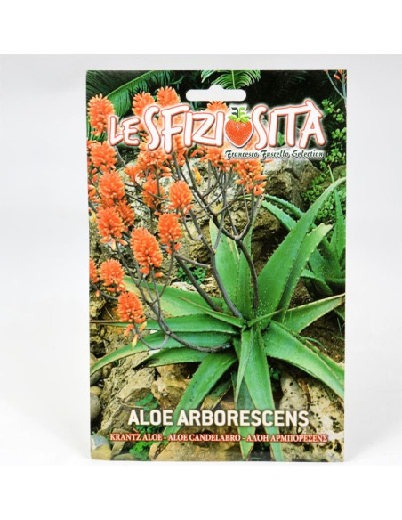 Vendita Semi di Aloe Arborescens-Semi Particolari OnLine|Mondo Piante