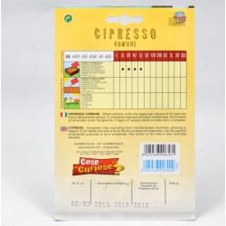 Semi Cipresso 2