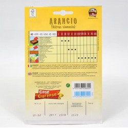 Semi Arancio 2