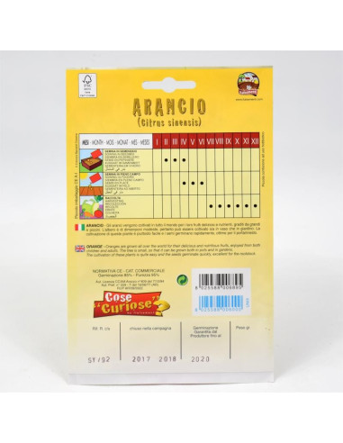 Vendita Semi di Arancio-Semi Particolari OnLine|Mondo Piante