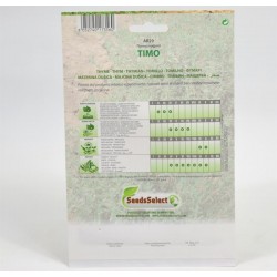 Semi Timo 2