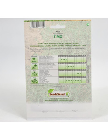 Vendita Semi di Timo-Semi Piante Aromatiche OnLine|Mondo Piante