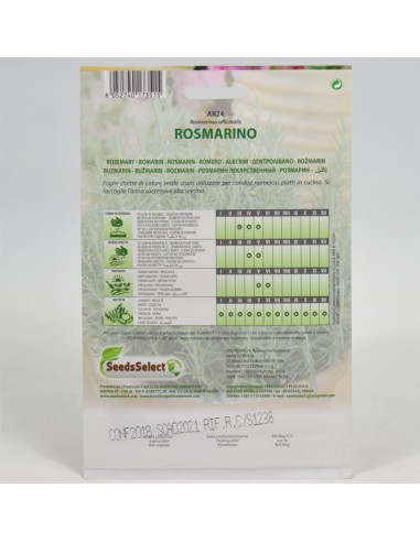 Rosemary Seeds for Sale-Seeds Online | Mondo Piante