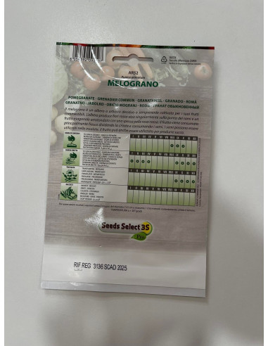 Vendita Semi di Melograno-Semi Particolari|Mondo Piante