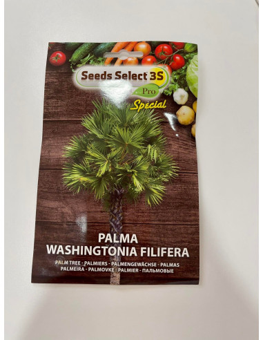 Vendita Semi Palma Washingtonia Filifera-Semi Particolari|Mondo Piante