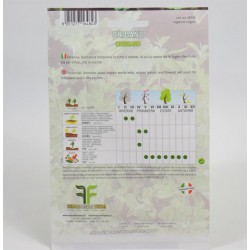 Oregano Seeds 2