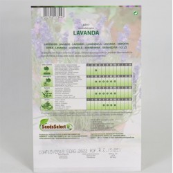 Lavender Seeds 2