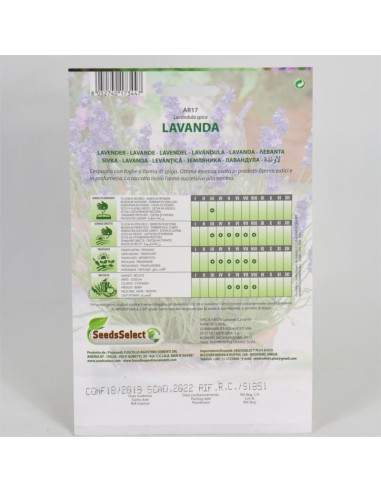 Vendita Semi di Lavanda-Semi Piante Aromatiche OnLine|Mondo Piante
