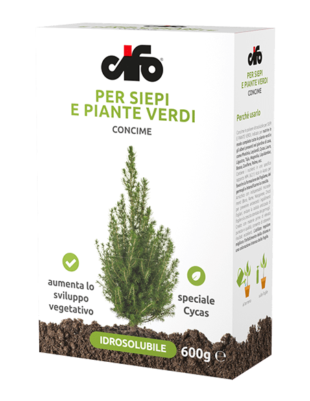 Vendita Online Concimi-Concime Per siepi e piante verdi|Mondo Piante