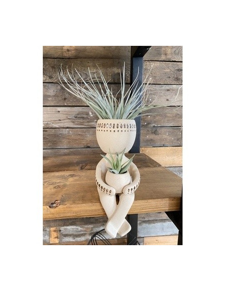 copy of Tillandsia plant on wooden block