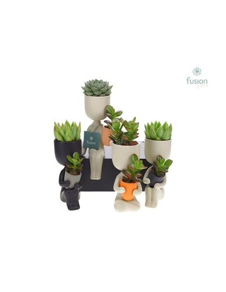 Vendita vasi in ceramica umanoide-Composizioni Online |Mondo Piante