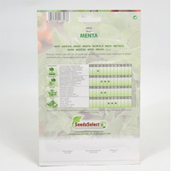 Semi Menta 2