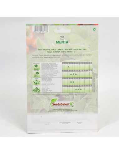 Vendita Semi Menta-Semi Piante Aromatiche|Mondo Piante