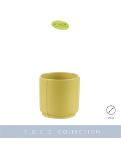 copy of Bonsai Ficus...