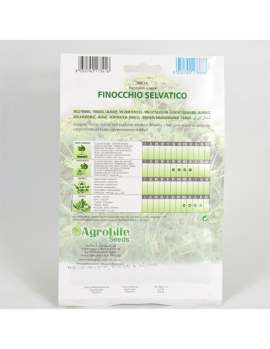 Vendita Semi Finocchio Selvatico-Semi Piante Aromatiche|Mondo Piante