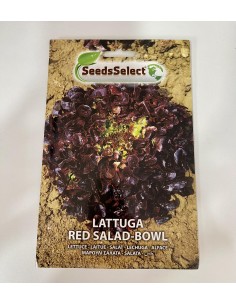 Semi Lattuga Red Salad Bowl
