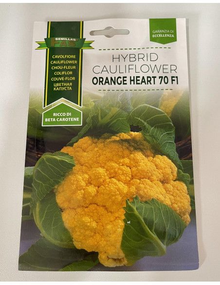 Vendita Semi di Cavolfiore Orange Heart-Semi particolari|Mondo Piante