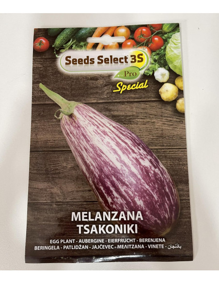 Vendita Semi di Melanzana Tsakoniki-Semi particolari|Mondo Piante